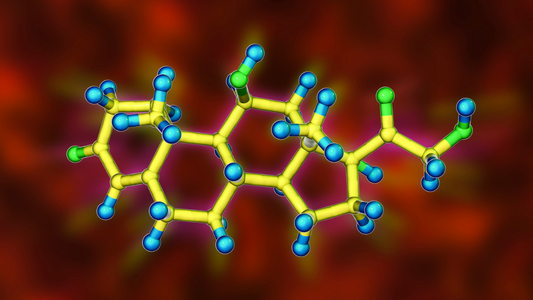 What Is Cortisol And It's Role In Sleep