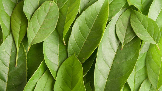 How To Choose Sustainable Eco-Friendly Bedding