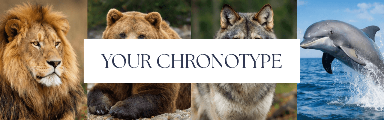Four grid image of Lion, Bear, Wolf, and Dolphin as the different Chronotypes.