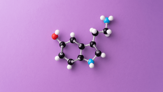 What is Serotonin? How Does It Impact Sleep?