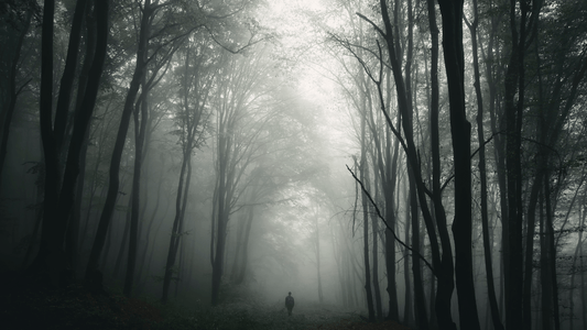 What Are Nightmares and How Can I Stop Them?