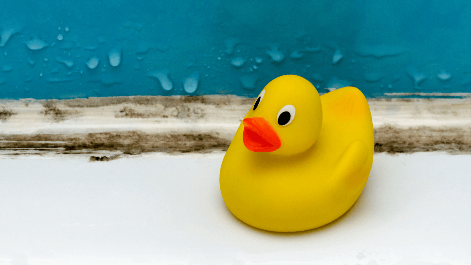 The Science of Dehumidifiers: How do They Work to Get Rid of Mould?