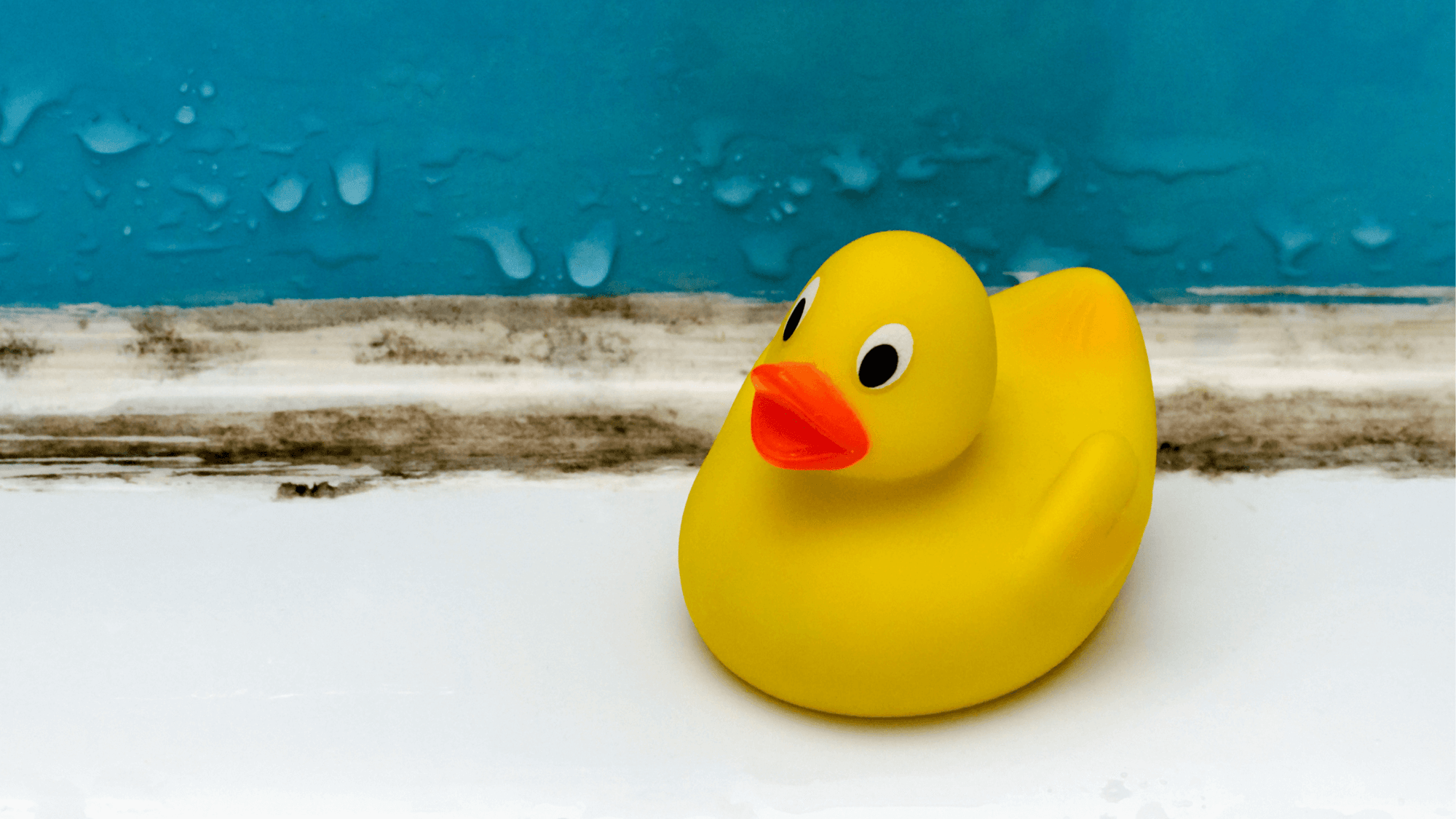 The Science of Dehumidifiers: How do They Work to Get Rid of Mould?