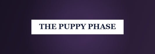 The Puppy Phase - How sleep headphones help new pet parents survive the early weeks