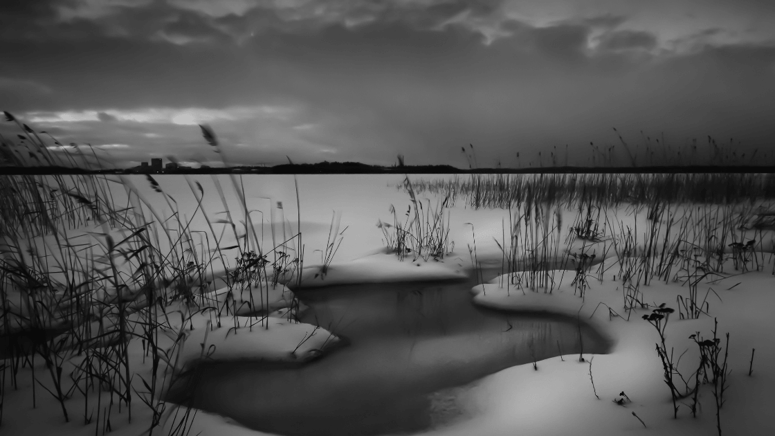 Why Do I Have Bad Dreams and How To Stop Them?