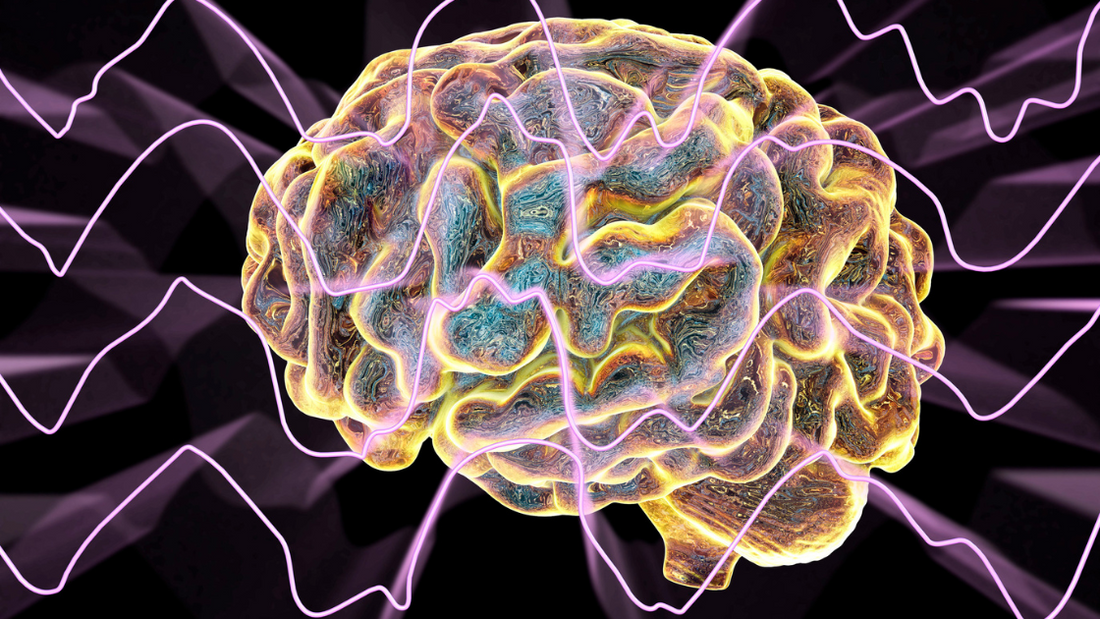 New Sleep Research: How Fluid Shifts Impact Your Brain
