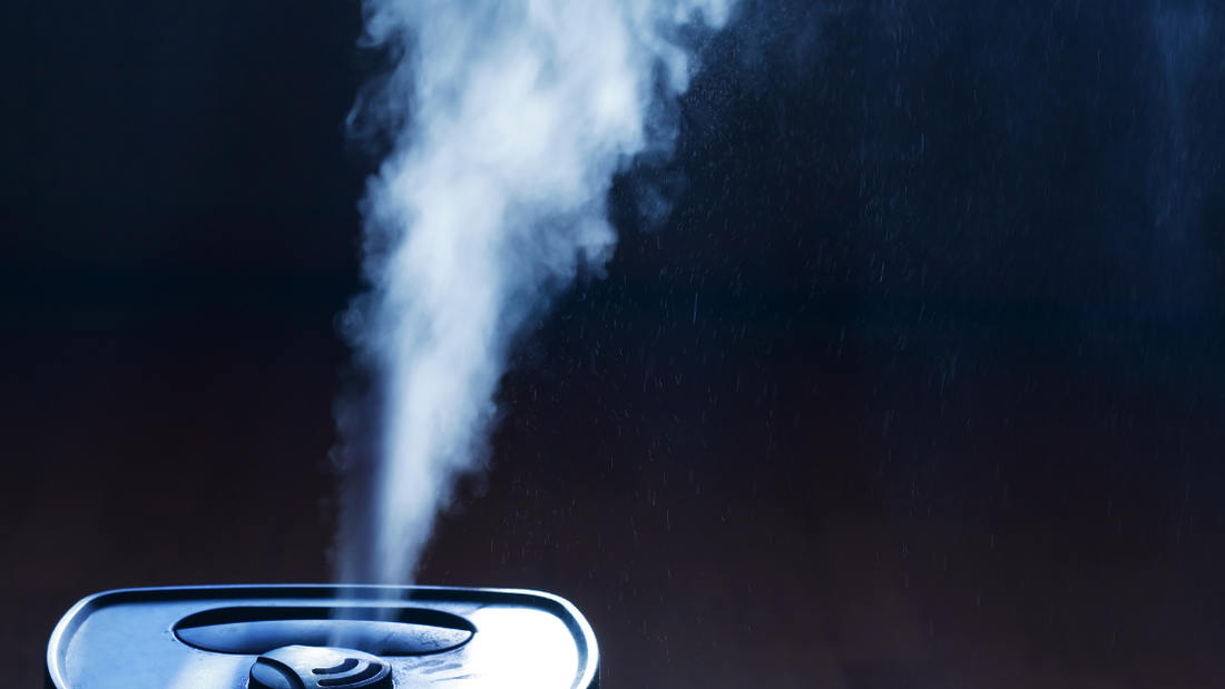 How Often Should I Clean My Dehumidifier?