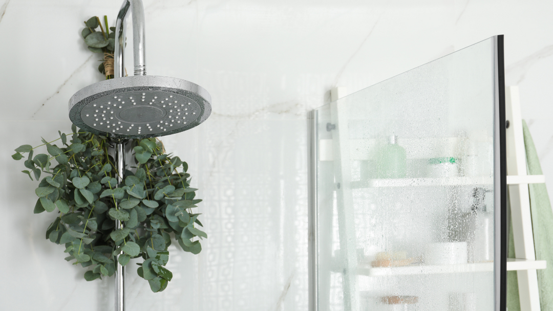 The Benefits of Hanging Eucalyptus Plants in Your Shower Before Bed