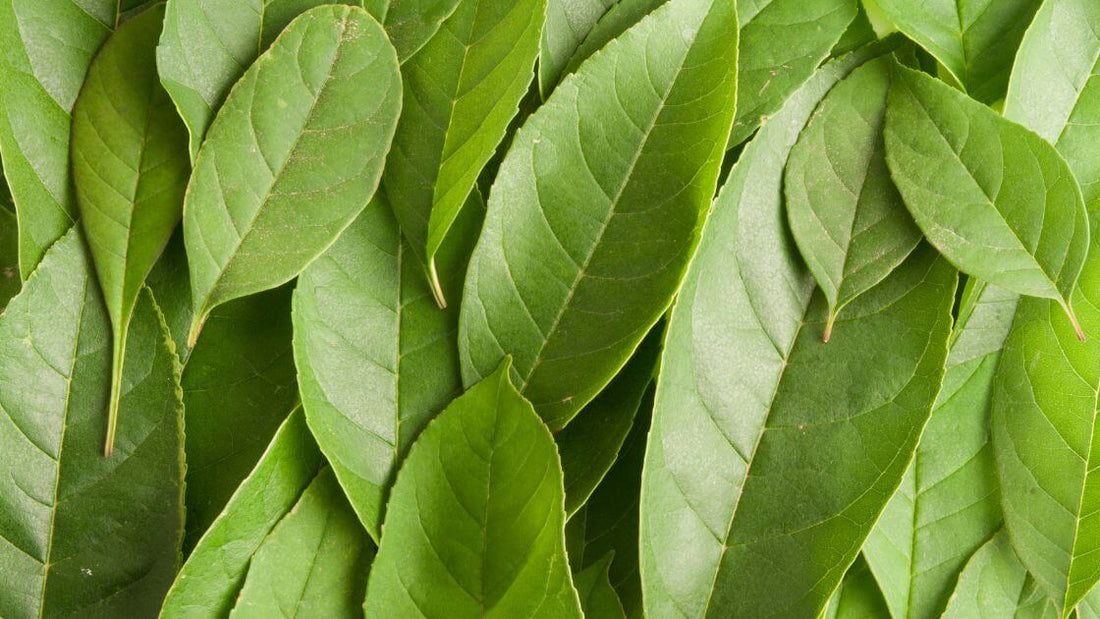 How To Choose Sustainable Eco-Friendly Bedding