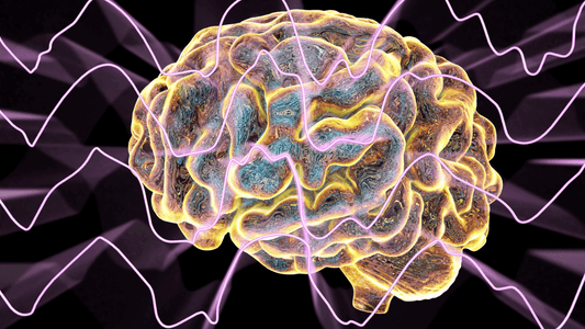 New Sleep Research: How Fluid Shifts Impact Your Brain