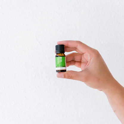 Eco. Eucalyptus Pure Essential Oil- 10ml - Sleep Dreams