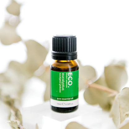 Eco. Eucalyptus Pure Essential Oil- 10ml - Sleep Dreams
