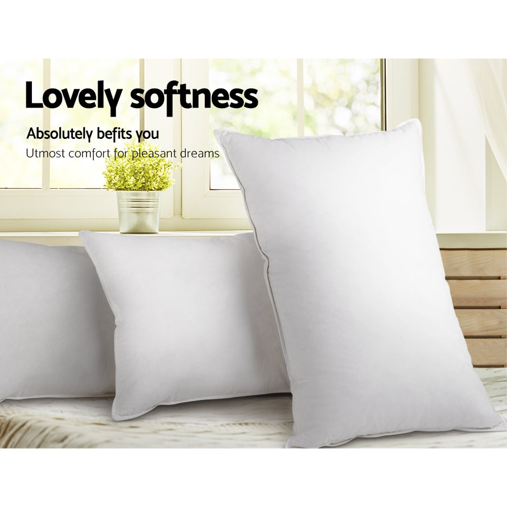 2 x Duck Down Pillows & 100% Cotton Cover - White - Sleep Dreams