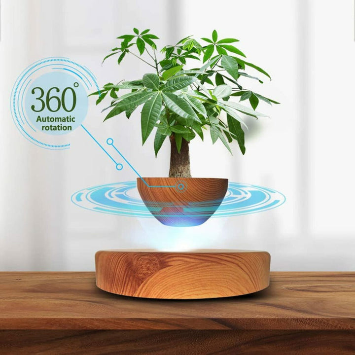 Wood Circle Magnetic Levitating Plant Pot - Oak - Sleep Dreams