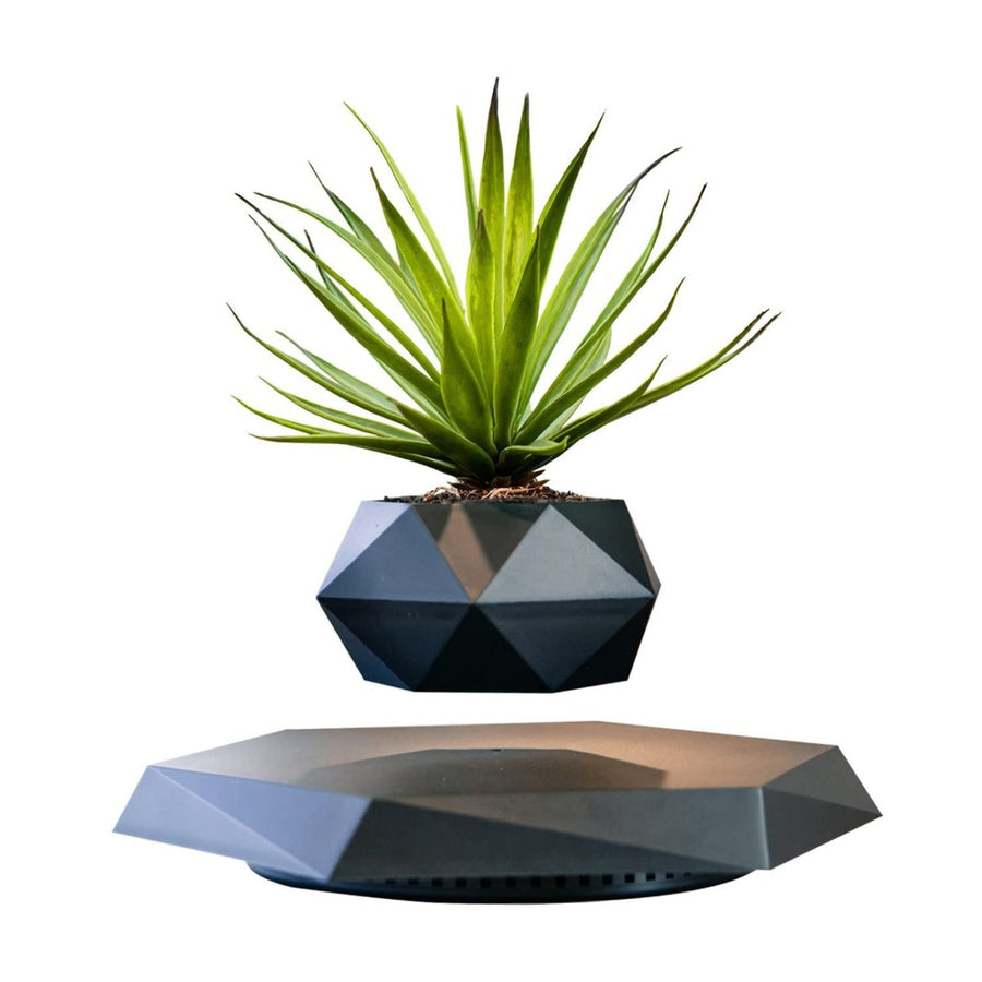 Diamond Shaped Magnetic Levitating Plant Pot - Black - Sleep Dreams
