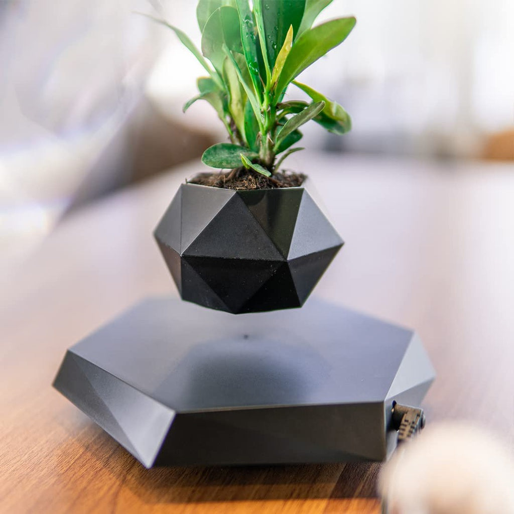Diamond Shaped Magnetic Levitating Plant Pot - Black - Sleep Dreams